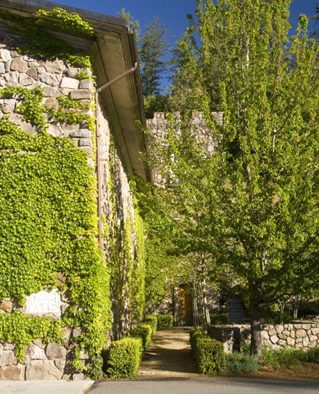 winery1