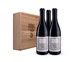 2013 Foretell Pinot Noir Cedar box set