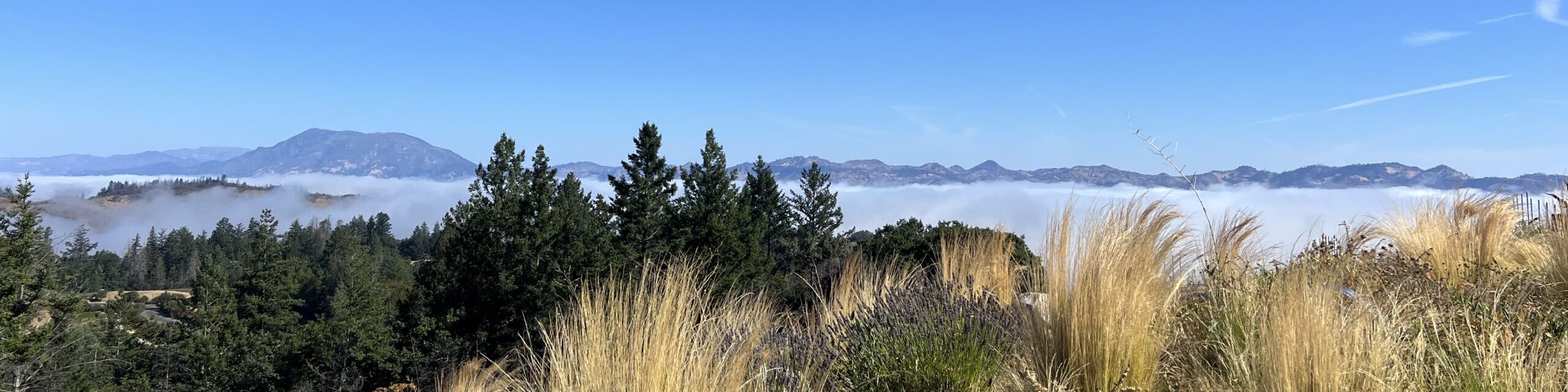 Scenic view of rolling hills, trees, and distant mountains under a clear blue sky.